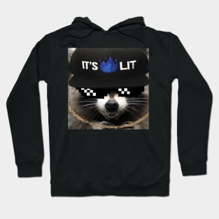 Raccoon Hoodie